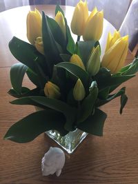 High angle view of tulips in vase on table