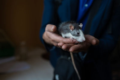 Close-up of hand holding a mouse