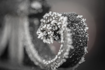 close-up