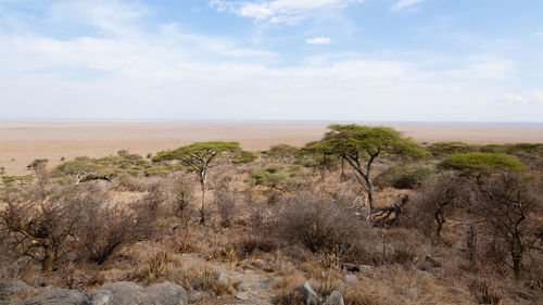 Scenic view of landscape against sky