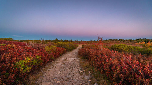 Dirt road amidst field against sky