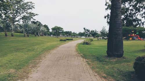 Empty pathway along trees on grassy field