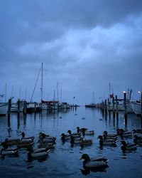 View of boats in sea
