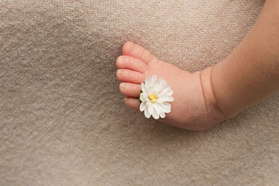 Feet of the newborn baby with flower, fingers on the foot, maternal care, love tenderness