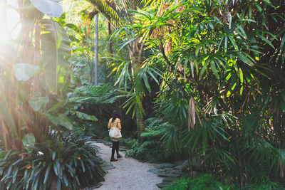 Woman walking on footpath in forest