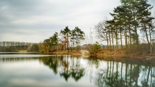 Reflection of trees in lake against sky