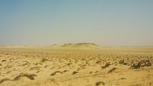 Sand dunes in desert against clear sky