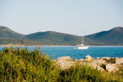 Sailboats sailing in sea against clear sky