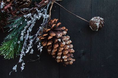 High angle view of pinecone on table