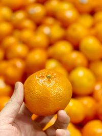 Close-up of hand holding orange