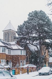 Snow covered trees and buildings in city