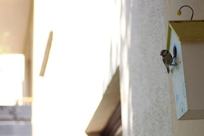 Low angle view of building against wall