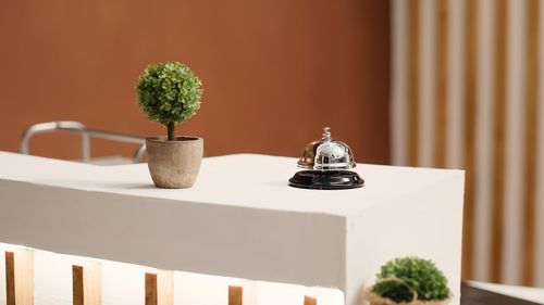 Potted plant on table