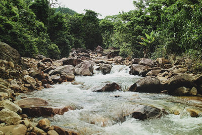 Stream flowing through rocks in forest