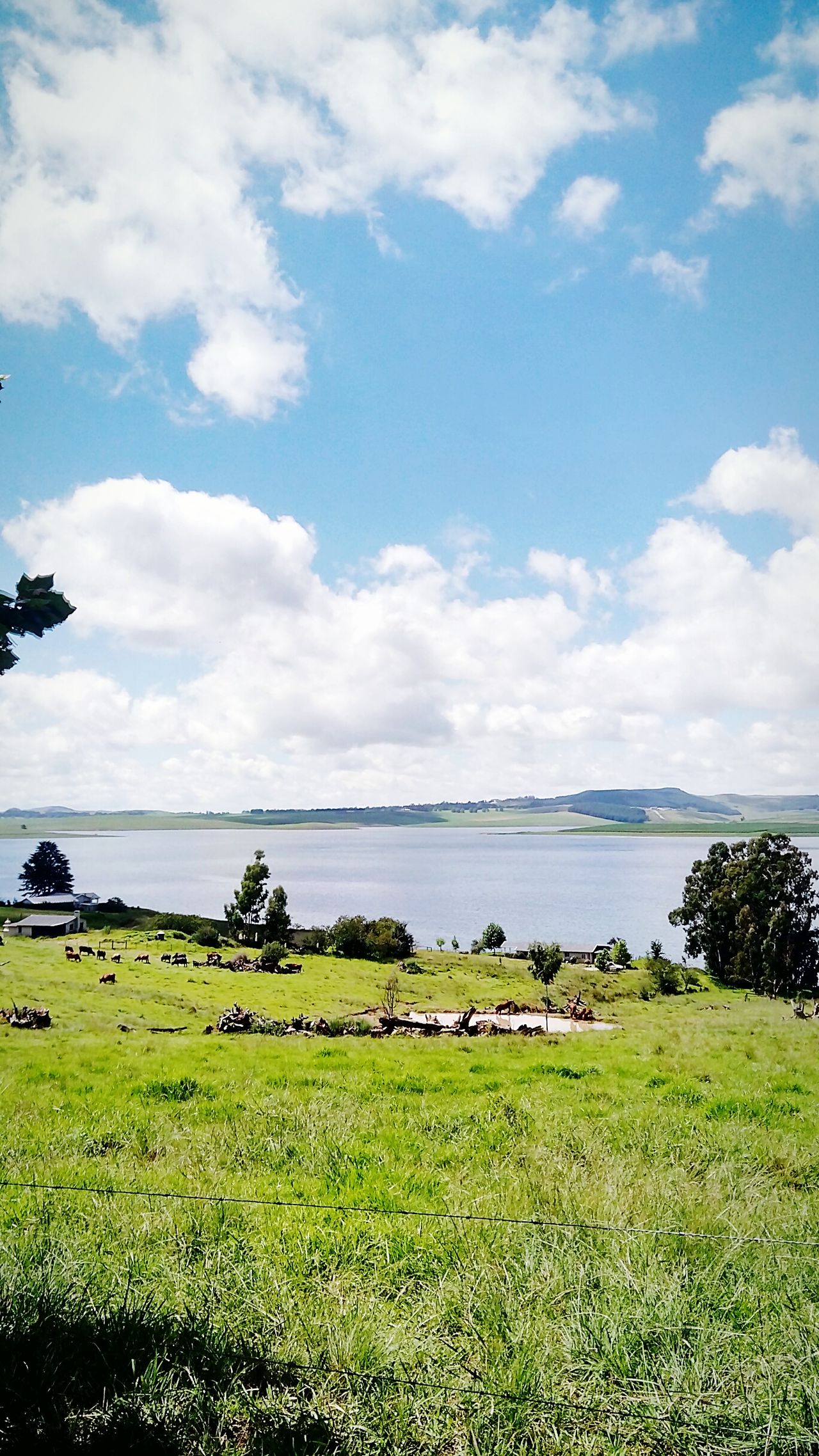 Spring grove dam rossetta