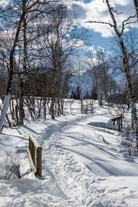 Bare trees on snow covered field against sky