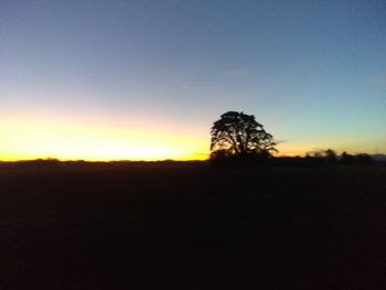 Silhouette trees on field against clear sky during sunset