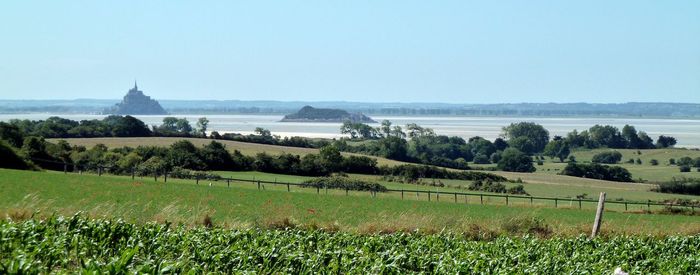 Scenic view of agricultural field against sky