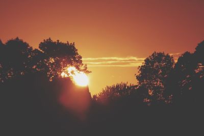 Silhouette trees against sky during sunset