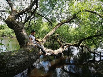 Man sitting on tree by lake in forest