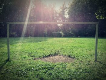 Trees on grassy field in park