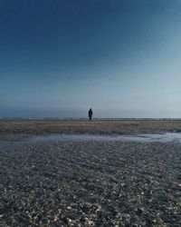 Man on beach against clear sky