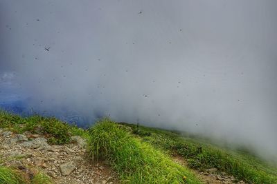 Scenic view of landscape against sky