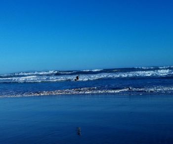 Scenic view of sea against clear sky