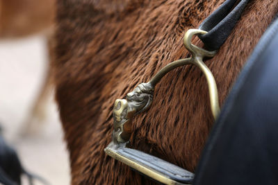 Close-up of rope tied to metal