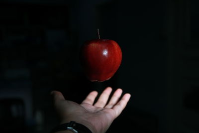 Close-up of hand holding apple