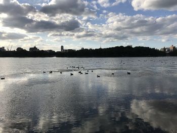 View of birds in lake against cloudy sky