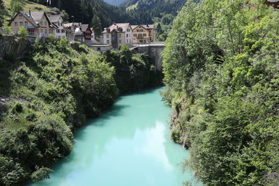 High angle view of river amidst trees