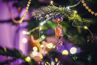 Close-up of christmas decoration hanging on tree