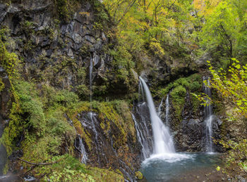 Scenic view of waterfall in forest