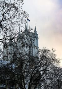 Low angle view of tree and building against sky