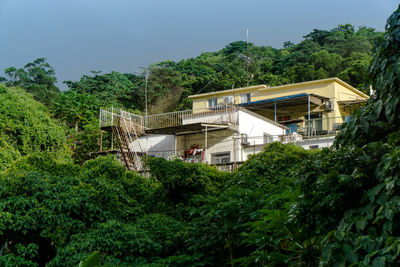 View of lush foliage