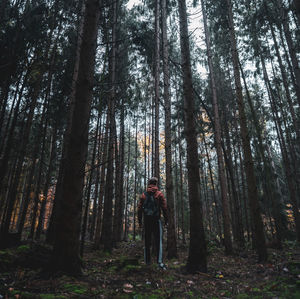 Man standing by trees in forest