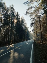 Road amidst trees against sky