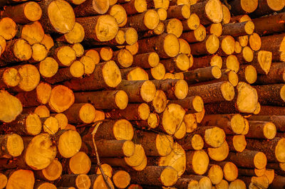 Full frame shot of logs