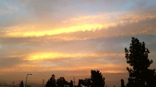 Low angle view of silhouette trees against sky at sunset