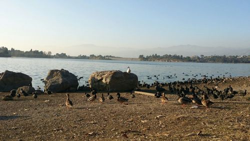 Scenic view of lake against clear sky