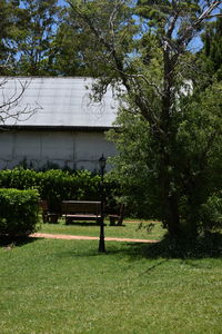 Trees growing in park