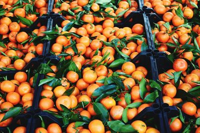 High angle view of fruits for sale at market stall