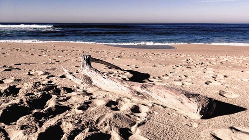 Driftwood on beach against sky