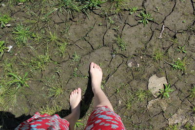 Low section of woman standing on ground