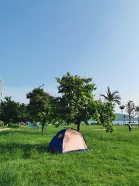 Tent in field against clear sky