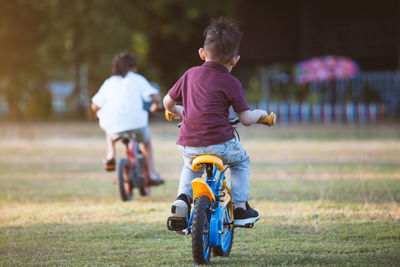 Rear view of boy and girl riding bicycle at park