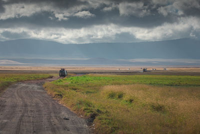 Safari cars and wildlife in ngorongoro crater conservation area. safari concept. tanzania. africa