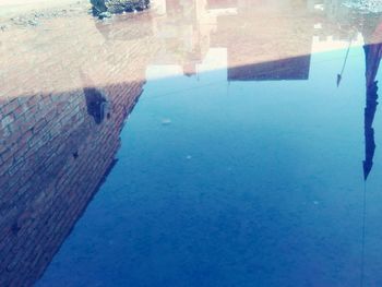 Reflection of trees in water