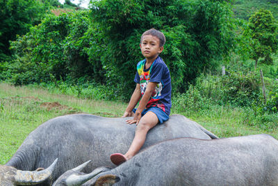 Full length of boy riding buffalo on field